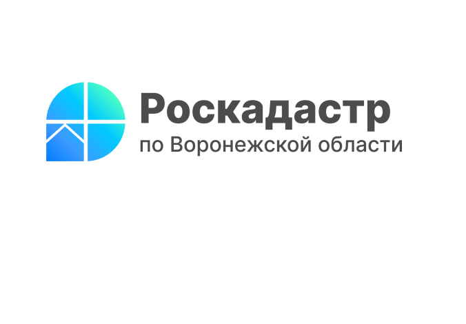 За полгода в ЕГРН внесено почти 4 тысячи различных зон на территории Воронежской области.